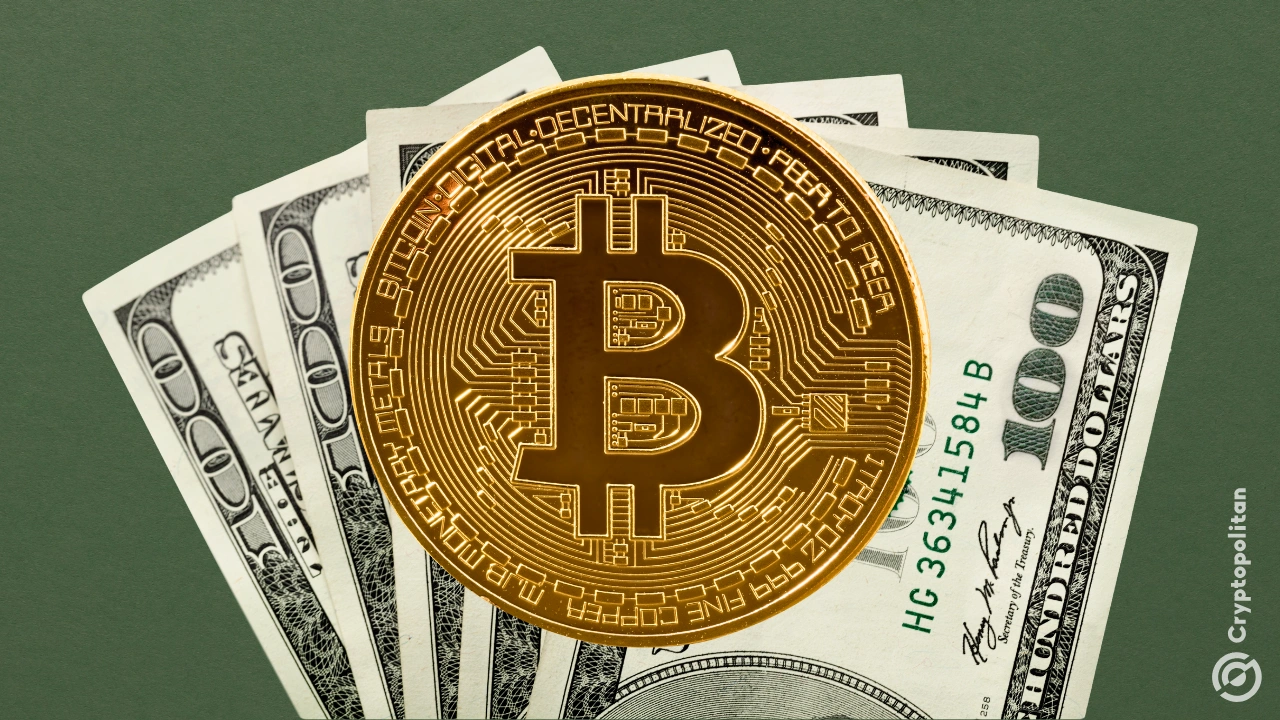 专家称SEC将在年底冲破313美元，引发引发关注